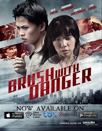 Brush with Danger 2015 Hindi ORG Dual Audio Movie DD2.0 720p 480p Web-DL ESubs x264